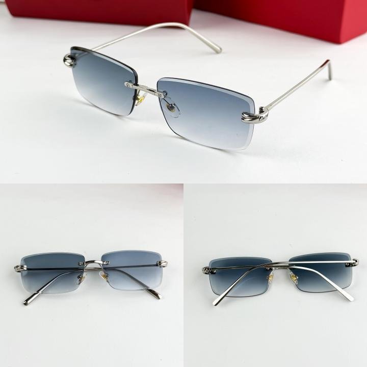 Cartier_silver_blue_M025 - Image 2