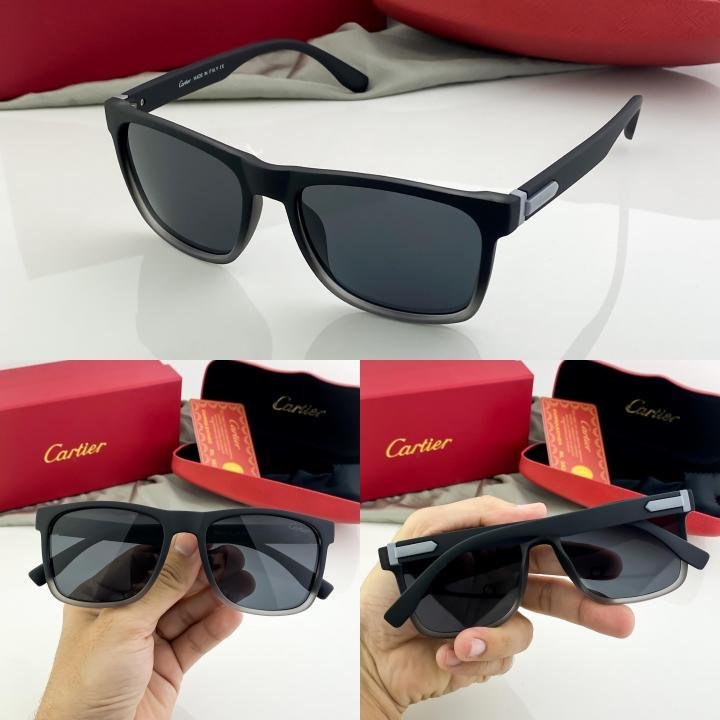 Cartier_ASH_3115 - Image 5