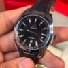 Omega Seamaster aqua terra
